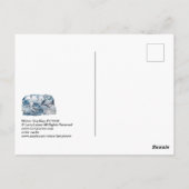 Carte Postale Nap de chien d'hiver #170101 (Dos)