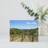 Carte Postale Napa Valley (Debout devant)