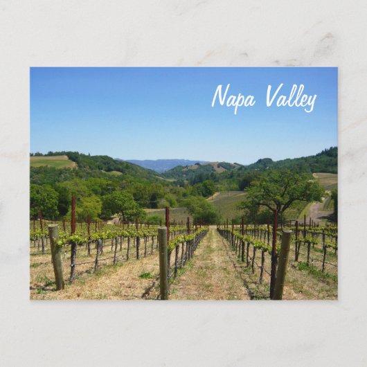 Carte Postale Napa Valley (Devant)