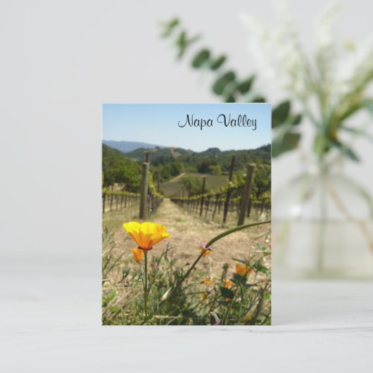Carte Postale Napa Valley Spring (Debout devant)