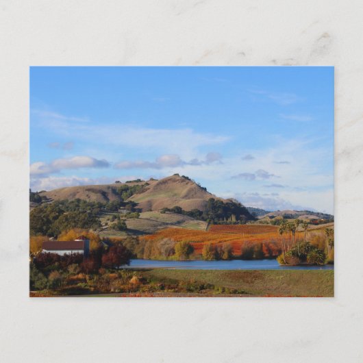 Carte Postale Napa Valley Wine Country à l'automne (Devant)