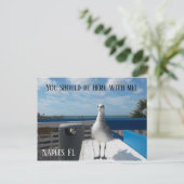 Carte Postale NAPLES, FL Cute Seagull Print Beach (Debout devant)