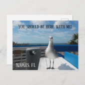 Carte Postale NAPLES, FL Cute Seagull Print Beach (Devant / Derrière)