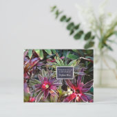 Carte Postale Naples Florida Botanical Garden Stephen Dias Citat (Debout devant)