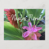 Naples Florida Fleurs tropicales
