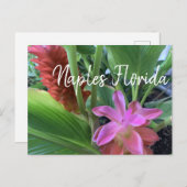 Carte Postale Naples Florida Fleurs tropicales (Devant / Derrière)