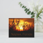 Carte postale Naples Florida Sunset (Debout devant)