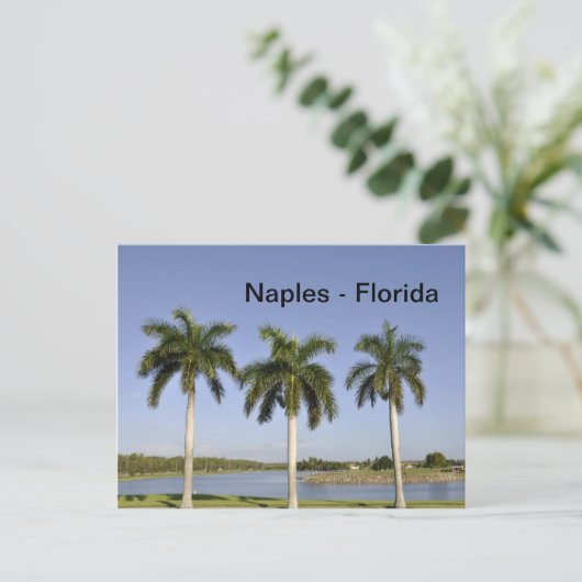Carte Postale Naples Floride (Debout devant)