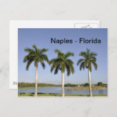 Carte Postale Naples Floride (Devant / Derrière)
