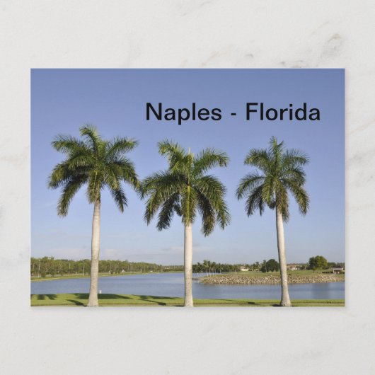 Carte Postale Naples Floride (Devant)