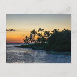 Carte Postale Naples, Floride littoral panoramique,