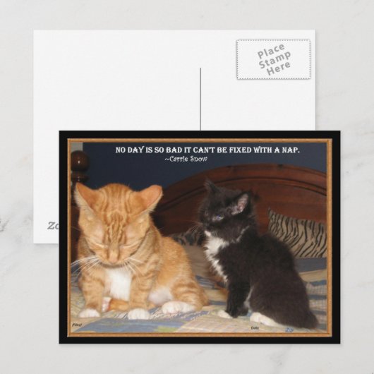 Carte Postale Naptime ! (Devant / Derrière)