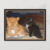 Carte Postale Naptime ! (Devant)