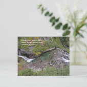 Carte postale Narada Falls (Debout devant)