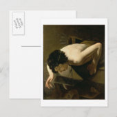 Carte Postale Narcisse (Devant / Derrière)