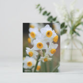 Carte Postale Narcisse [Carte postale] (Debout devant)