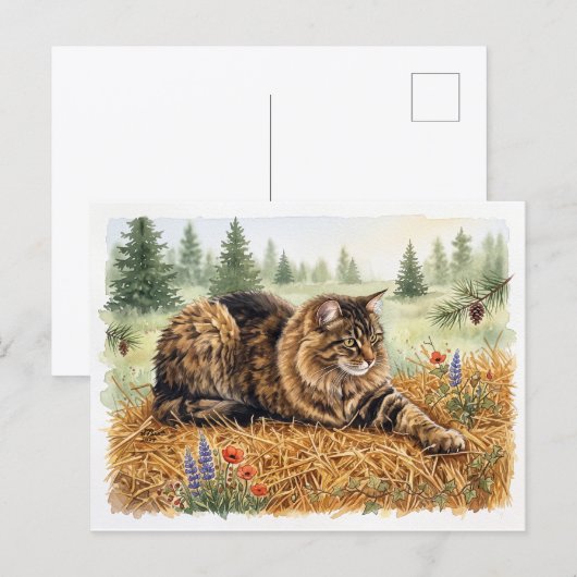 Carte Postale Nari de la forêt (Devant / Derrière)