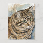 Carte Postale Nari- Une étude de mon chat (Devant)