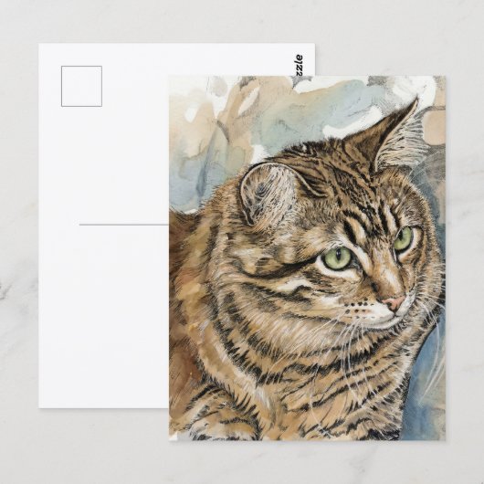 Carte Postale Nari- Une étude de mon chat (Devant / Derrière)