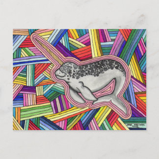 Carte Postale Narwhal
