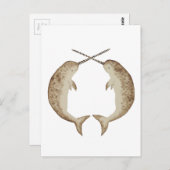 Carte Postale Narwhal (Devant / Derrière)