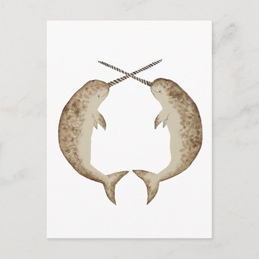 Carte Postale Narwhal (Devant)