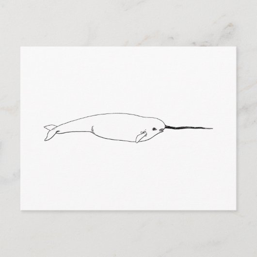 Carte Postale Narwhal (art. 500) (Devant)