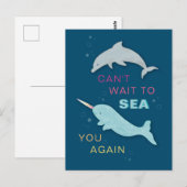 Carte Postale Narwhal Dolphin Friends (Devant / Derrière)