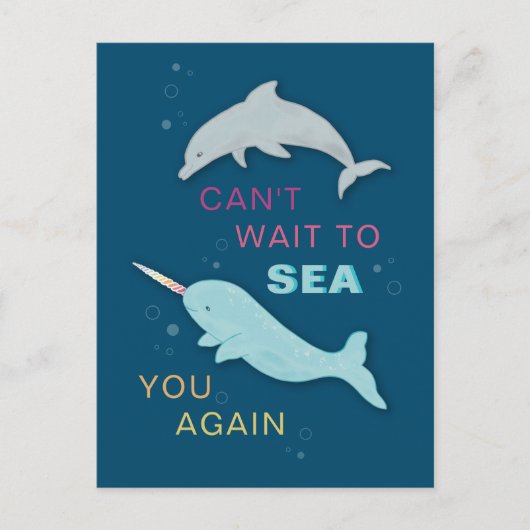 Carte Postale Narwhal Dolphin Friends (Devant)