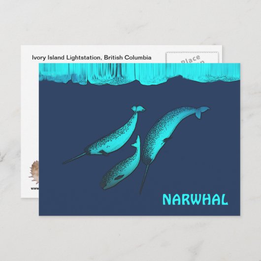 Carte Postale Narwhal Sous La Glace (Devant / Derrière)