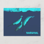 Carte Postale Narwhal Sous La Glace (Devant)