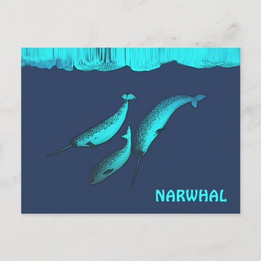 Carte Postale Narwhal Sous La Glace (Devant)