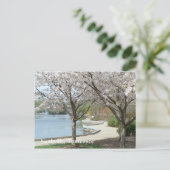 Carte Postale Nashville - Centennial Park in Bloom (Debout devant)