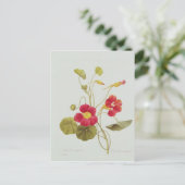 Carte Postale Nasturtium (Debout devant)