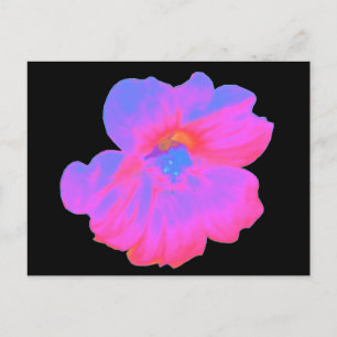 Carte postale Nasturtium rose