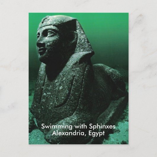 Carte Postale Natation avec sphinx (Devant)