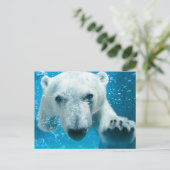 Carte Postale Natation d'ours blanc (Debout devant)