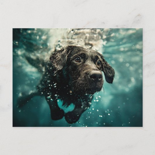 Carte Postale Natation Labrador Chiot Design sous-marin (Devant)