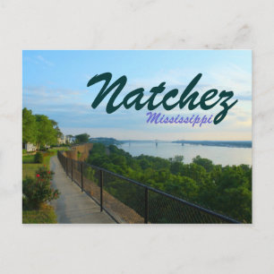 Carte Postale Natchez Mississippi River Bluffs Grande inondation