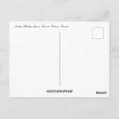 Carte Postale Nathan Phillips Carré Toronto Ontario Canada (Dos)