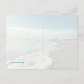 Carte postale Natica Jewel Box Kitten's Paw Seashe (Dos)