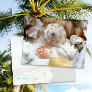 Carte postale Natica Jewel Box Patte de chat Coqui