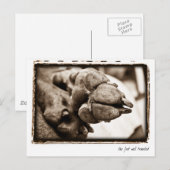 Carte Postale Nation Weimaraner : "Le pied bien parcouru" (Devant / Derrière)