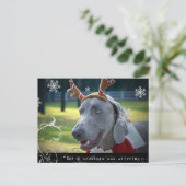 Carte Postale Nation Weimaraner : "Pas une créature ne remuait.. (Debout devant)