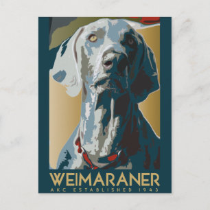 Carte Postale Nation Weimaraner : Weimaraner 1943