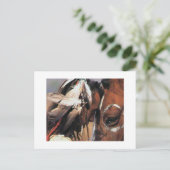 CARTE POSTALE NATIVE AMERICAN (Debout devant)