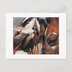 CARTE POSTALE NATIVE AMERICAN