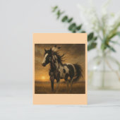 Carte Postale Native American Paint Horse - Koko (Debout devant)