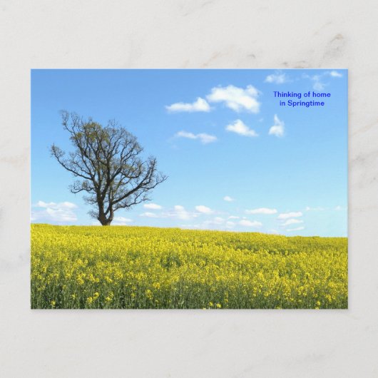 Carte postale Nature (Devant)