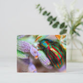 Carte Postale nature (Debout devant)